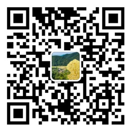 五福彩票网站